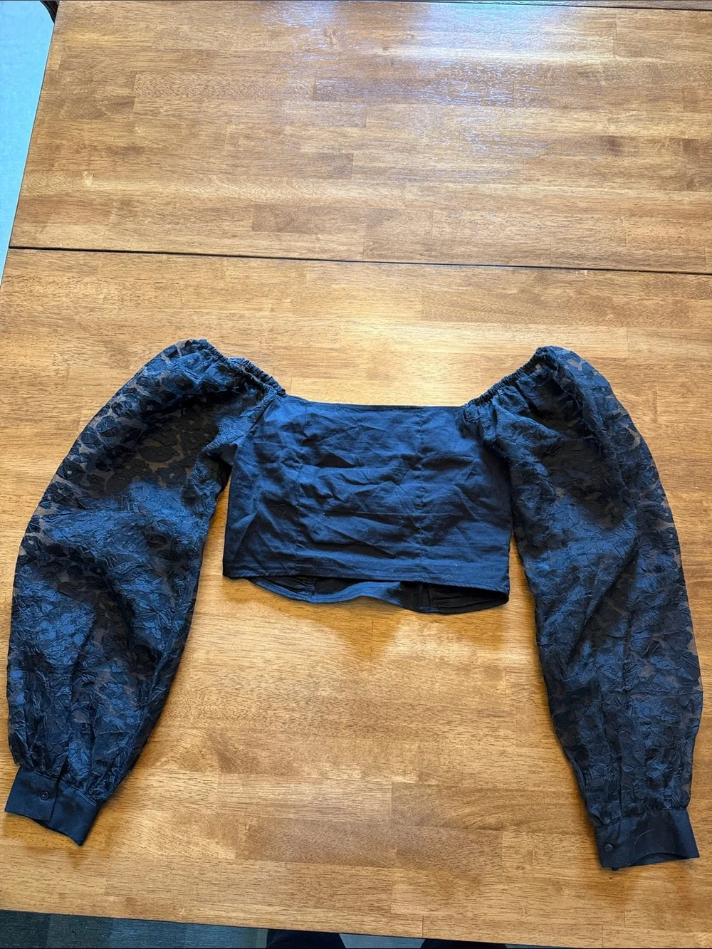 Zara Black Sheer Puff-Sleeve Crop Top
